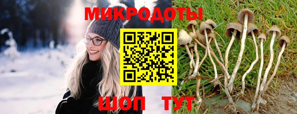Галлюциногенные грибы мицелий  Вход с VPN  Галлюциногенные грибы Psilocybine cubensis  Качканар 